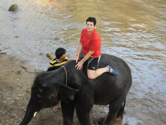 thailand reisebericht"elefanten camp maetaman" Küchendienst Französisch ~ thailand reisebericht"elefanten camp maetaman"