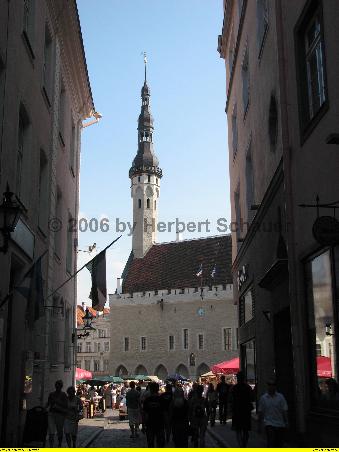 Blick auf das Rathaus und den Rathausplatz.