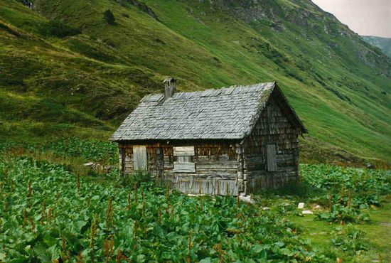 Amerikaner in österreich kennenlernen