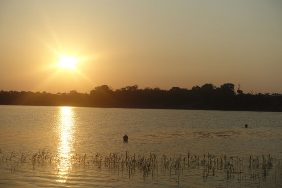 Brasilien-Reisebericht: &ldquo;Manaus Dschungeltour 09.01-12.01.2016&rdquo;
