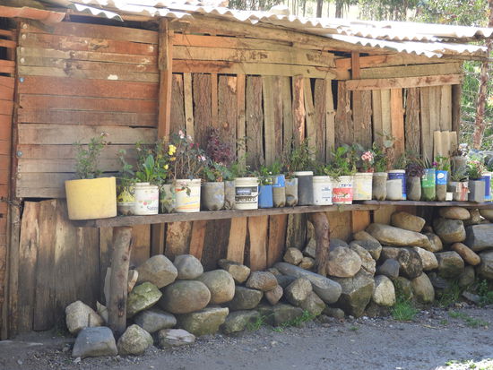 Auf dem Weg nach Wilkahuain, ein typisches Bild für die Anden, wo immer es geht und wenn das Haus noch so ärmlich ist blühen Blumen. Dieses positive Lebensgefühl strahlen die Menschen auch aus.