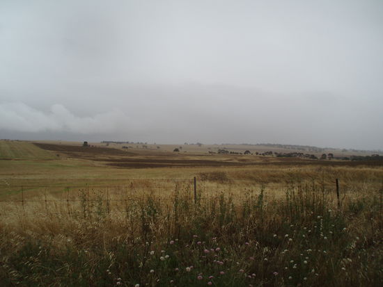 McLeod-Landschaft...