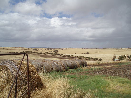 But this is my heart's home - I still dream of Drovers Run