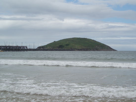 Muttonbird Island vom Strand aus gesehen