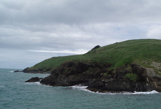 Muttonbird Island