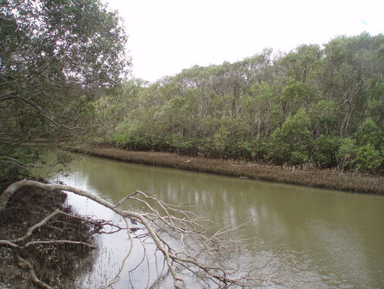 Am Coffs Creek