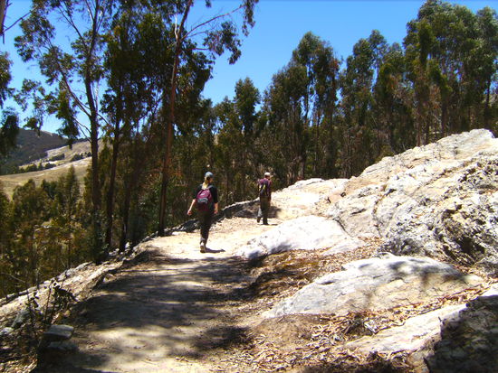 Am Weg durch Eukalyptuswälder...der Geruch war wirklich wie in Australien!