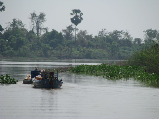 Mekong Fluss