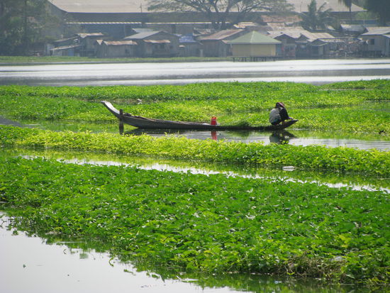 See in Phnom Penh, Kambodscha