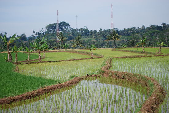 Auf dem Weg zum Dieng Plateau...