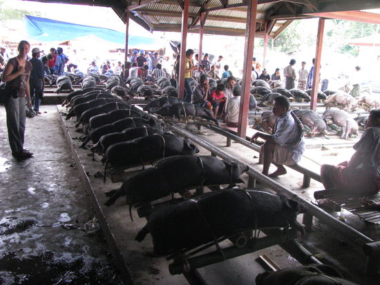 Auf dem Schweine Markt.