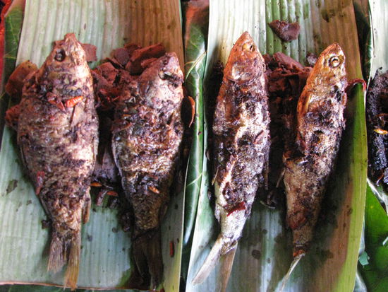 spezialitaet in Sulawesi