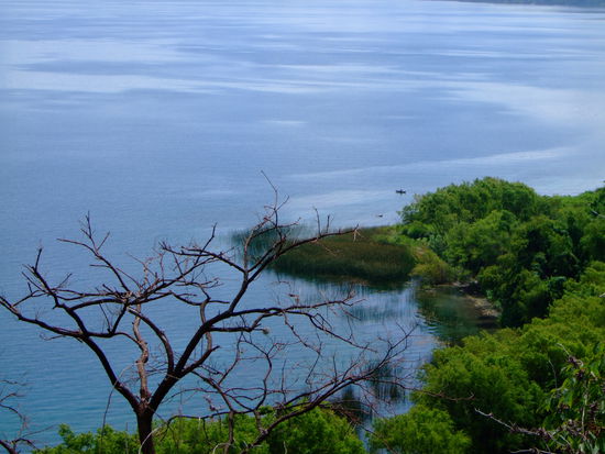 ausblick ueber unseren see