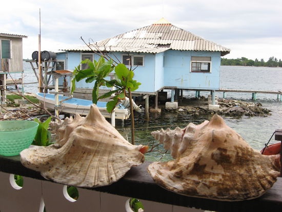 muscheln, boote, fischerhuetten - das leben an der see