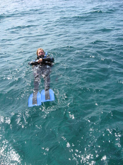 im wasser