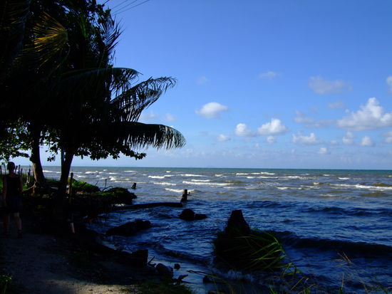 entlang der see