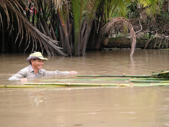 ernte von wasserpalmen fuer die daecher der huetten
