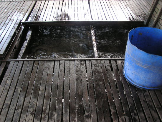 DIE fischfarm