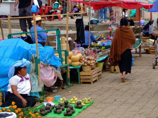 avocados, fruechte von kakteen, blumen, kalebassen, ... barfusslaufen und wild zusammengebastelte marktstaende