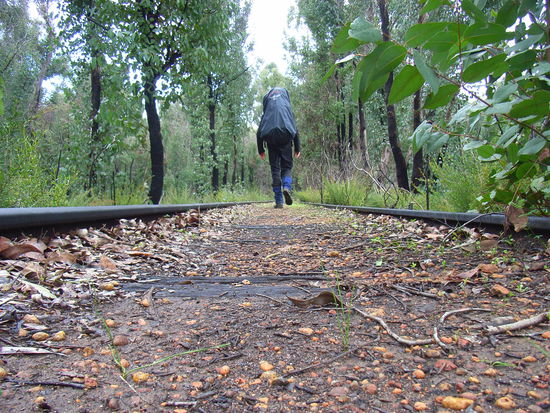 Gefahren gehen hauptsaechlich von Schlangen, Feuern, herabfallenden Aesten/Baeumen und Zuegen aus.
...naa diese Strecke war stillgelegt. Krokodile, die meisten giftigen Spinnen und Zuege tummeln sich zum Glueck in anderen Teilen Australiens.