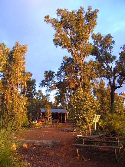 Eine der neusten Huetten. Waldbraende haben schon so manche Huette hier abgefackelt. 
Eine Huette wurde mal von nem Baum plattgemacht