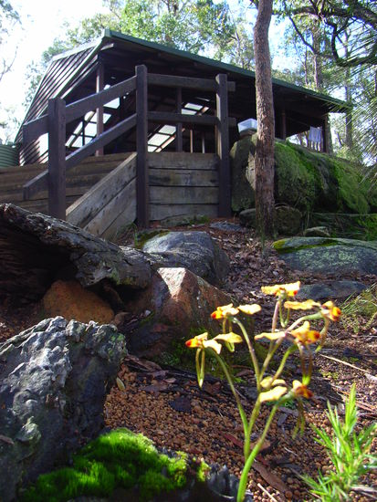 In dieser Huette hatte ein schwangeres Possum seine Fressgelueste befriedigt und uns die Nacht ueber wach gehalten. Ist sogar vorgekommen das Possums Loecher in Rucksaecke genagt haben um an Essen zu kommen. Am besten waehre wohl ueber dem Rucksack liegend zu schlafen aber die meisten bevorzugen aufhaengen wobei das auch nicht immer hilft da Possums klettern und springen koennen.