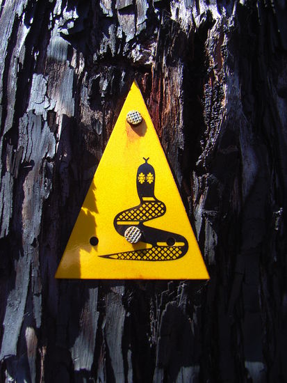 Verbrannte Vegetation gehoert hier zum normalen Bild und ist teil des Oekosystems. Immer wieder werden auch geplante Feuer entfacht um...den Klimawandel zu beschlaeunigen...naaa ich zahl viel Geld fuer's Internet, da erklaer ich auch gerade noch warum die Erde rund ist