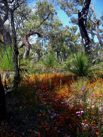 Fruehling ist hier ganz grosses Tennis!