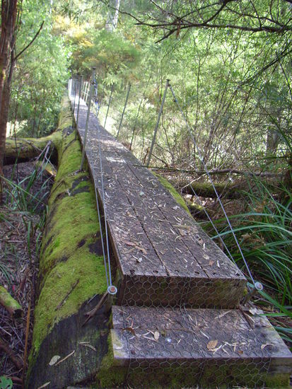 Die Baeume sind hier gross genug da kann man aus einem auch mal eben ne Bruecke machen. 
Eine demontierte "one tree bridge" die es zu besichtigen gab war sogar Fahrzeugtauglich.