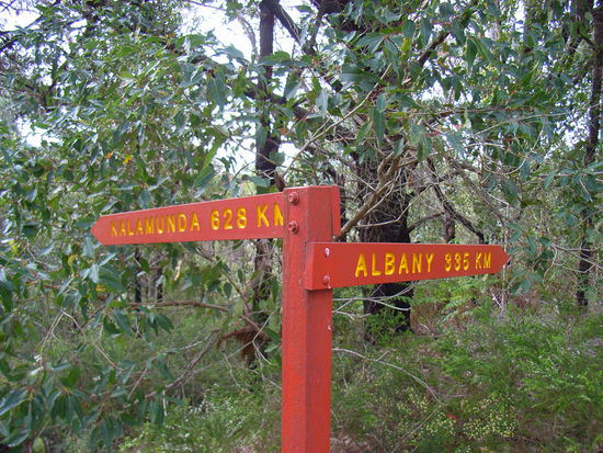 Ueber die Laenge des Tracks ist sich glaub ich keiner so sicher.