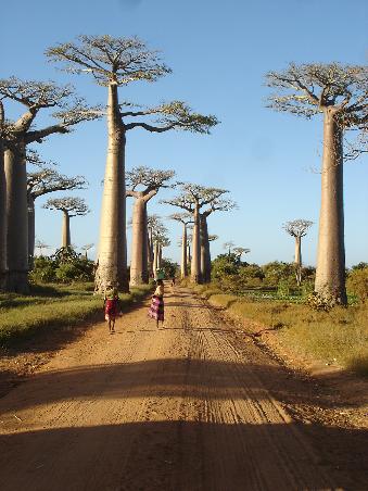 Madagaskar-Reisebericht: &ldquo;Zurück in der Zivilisation&rdquo;