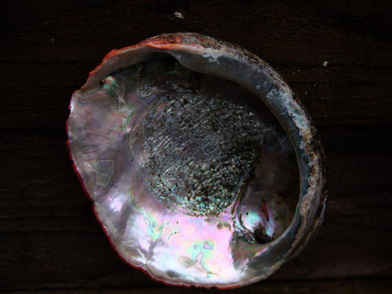 abalone online spielen abalone online spielen