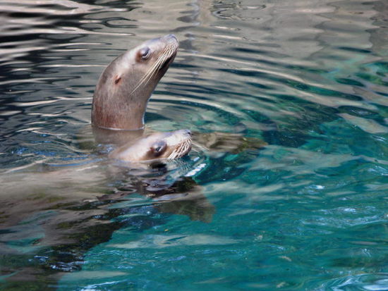 Zu zweit spielen ist doch schöner...