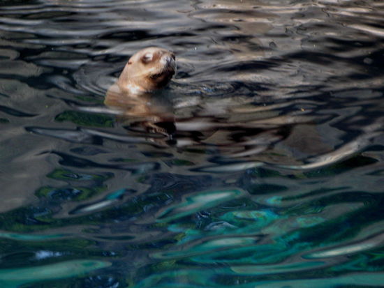 Ich tauch gleich wieder ab...