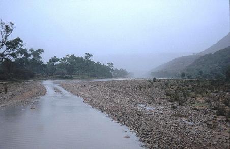 Land unter im "Wet Center"