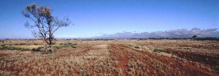 Outback - wieder trocken -