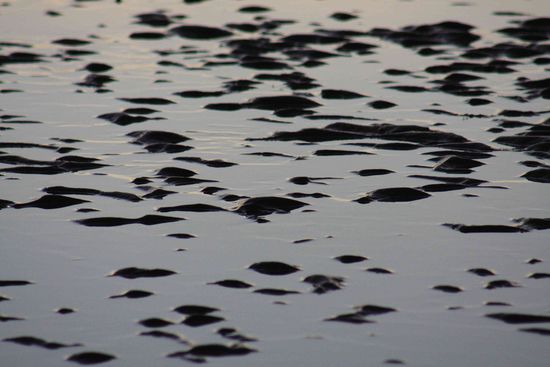 Suchbild Nr. ?....just mud