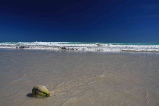 Am Morgen war der Strand noch geschlossen. Kroko-Warnung. Der Cable Beach gehört zum Revier eines großen Salti-Männls (Leistenkroko)