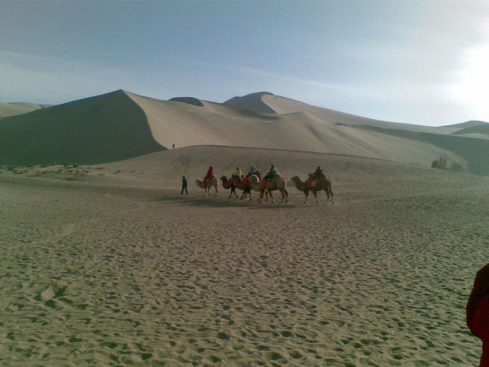 die Sandberge hinauf kann.