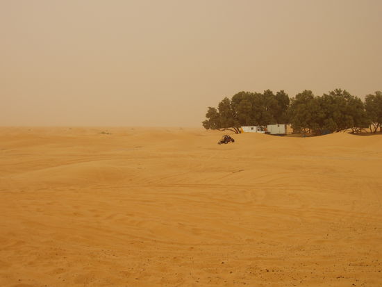 Spielen im Sand die Zweite.. 22