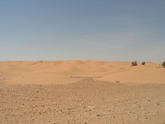 endlich angekommen...die Dünen....