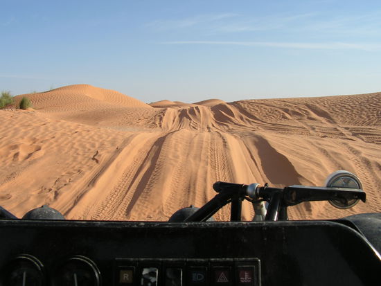 Dünen so weit das Auge reicht 39