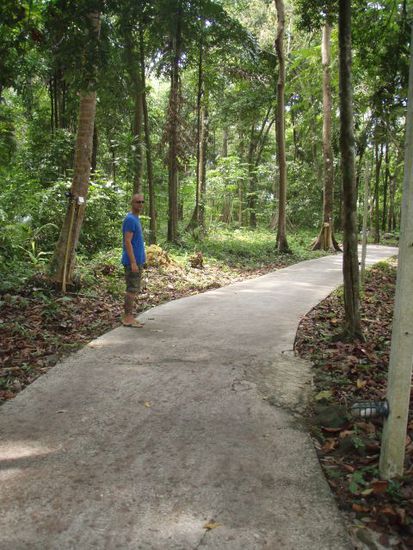 der Weg gen Strand