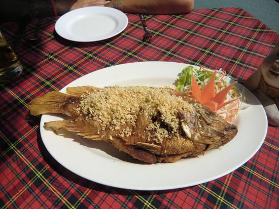 Red Snapper with Garlic ( 250 THB = 6,20 Euro)