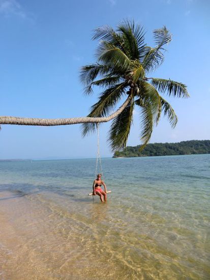 Palme am Meer mit Frau