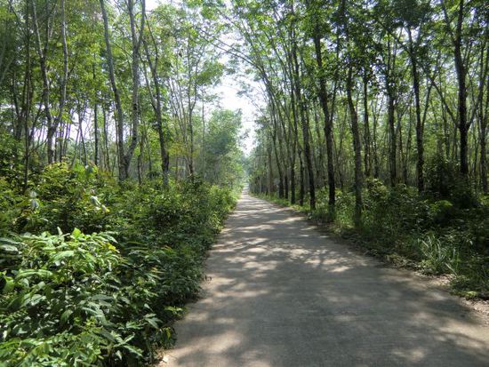 leere Straßen auf der Insel