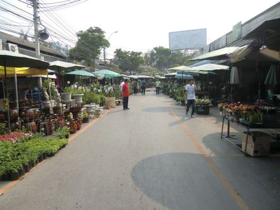 der Markt vor 6 Wochen in der Woche