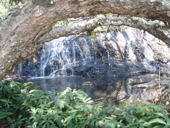 Khao Yai Nationalpark I 30