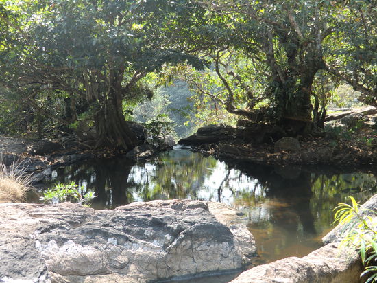 Khao Yai Nationalpark I 6
