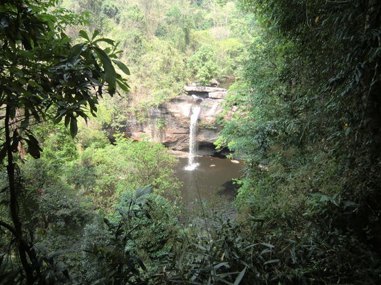 Khao Yai Nationalpark I 8